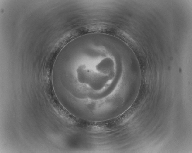 X0000066520737200603201323