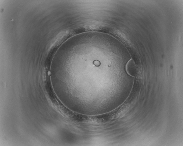 X0000066520738200603201323