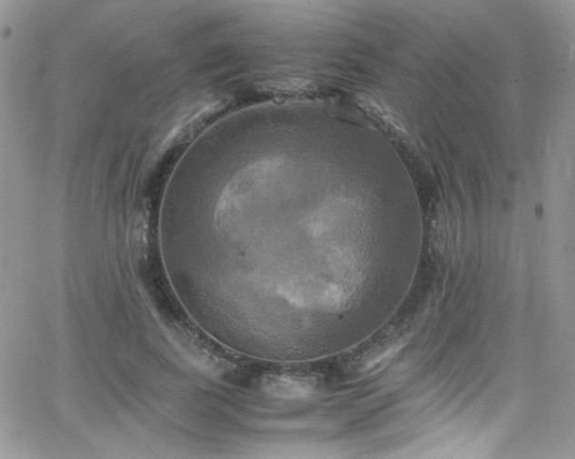 X0000066520739200603201323