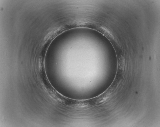 X0000066520740200603201323