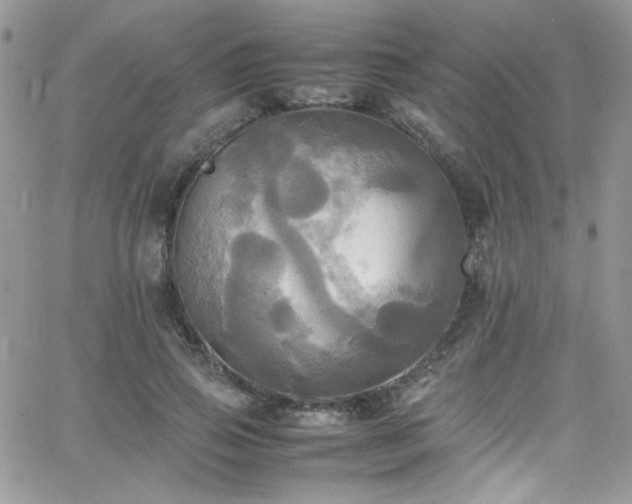 X0000066520741200603201323