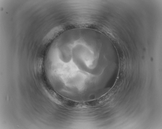 X0000066520742200603201323