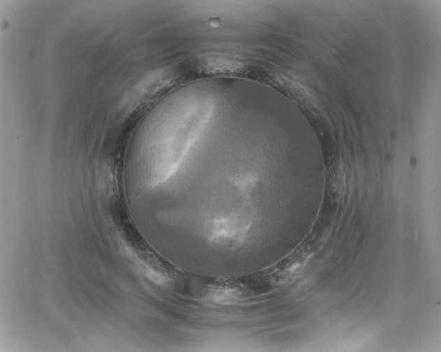 X0000066520743200603201323