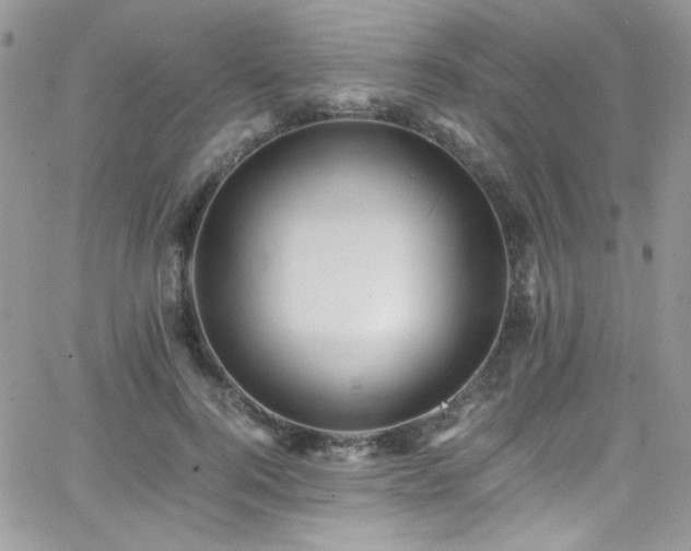 X0000066520744200603201323