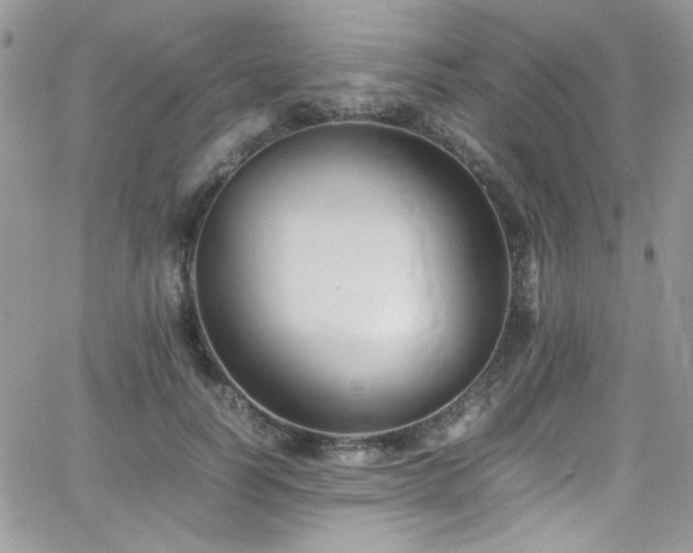 X0000066520746200603201323