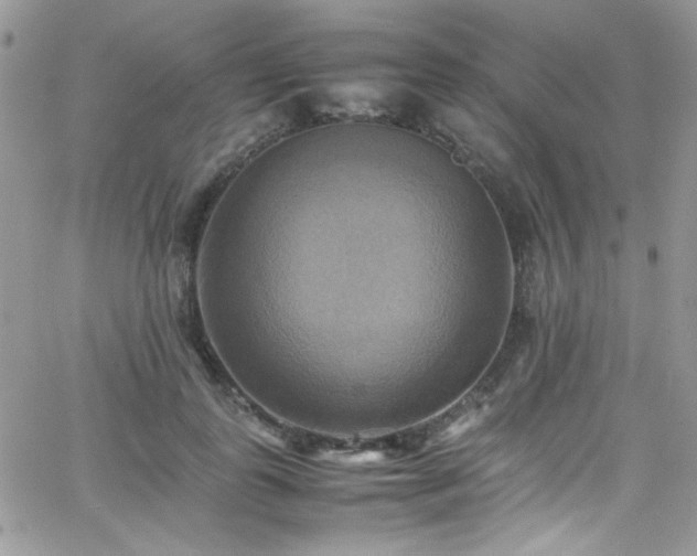 X0000066520747200603201323