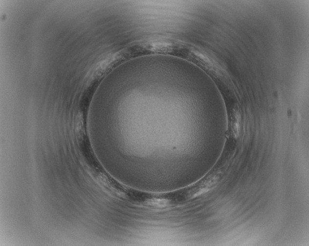 X0000066520748200603201323