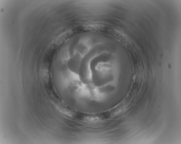 X0000066520749200603201323