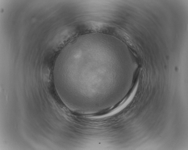 X0000066520750200603201323