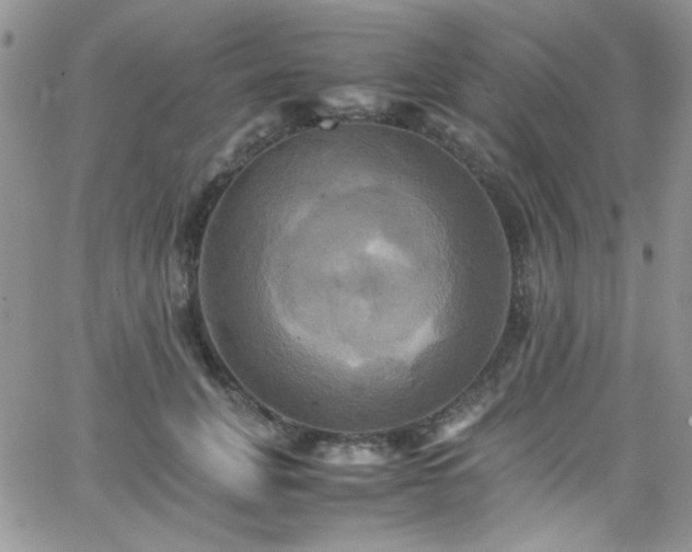 X0000066520751200603201323