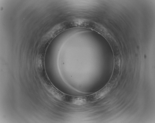 X0000066520754200603201323