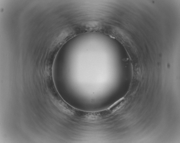 X0000066520756200603201323