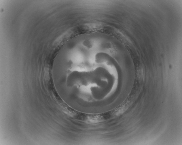 X0000066520757200603201323