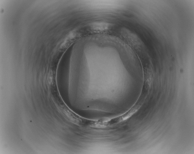 X0000066520758200603201323