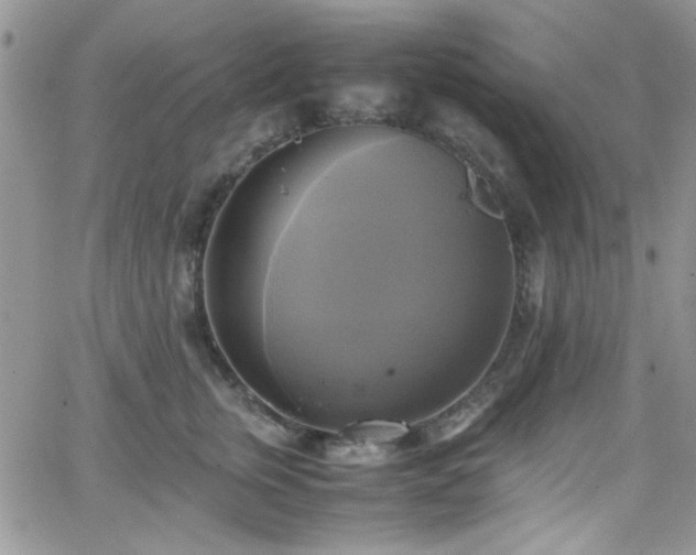 X0000066520759200603201323