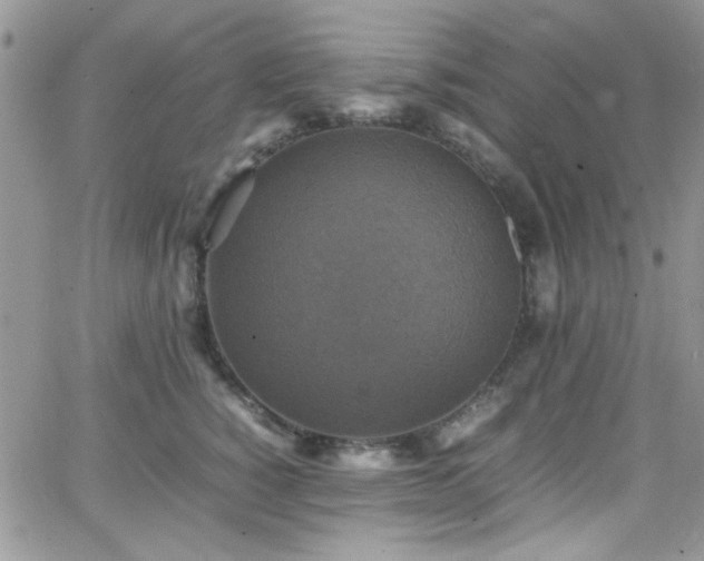 X0000066520760200603201323