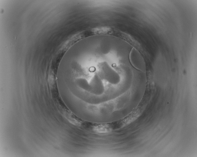 X0000066520761200603201323