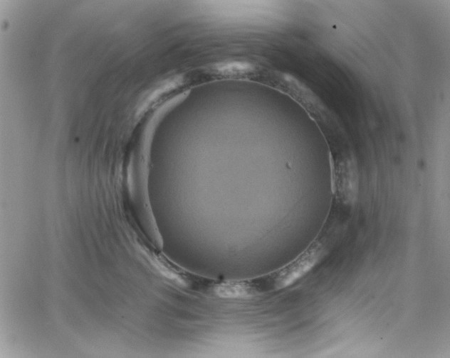 X0000066520762200603201323