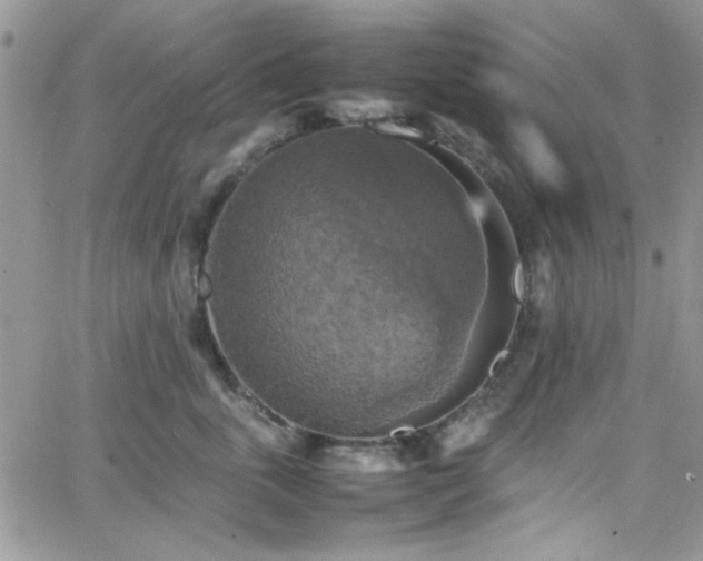 X0000066520763200603201323