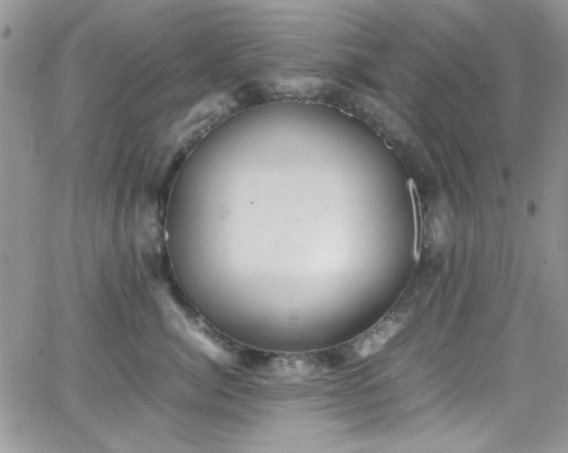 X0000066520764200603201323