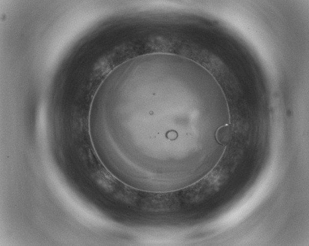 X0000066520765200603201323