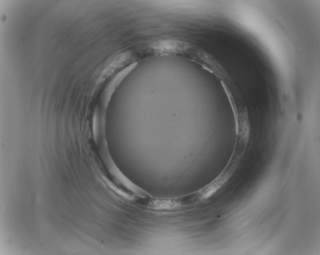 X0000066520766200603201323