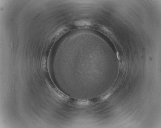 X0000066520767200603201323