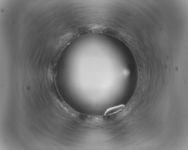 X0000066520768200603201323