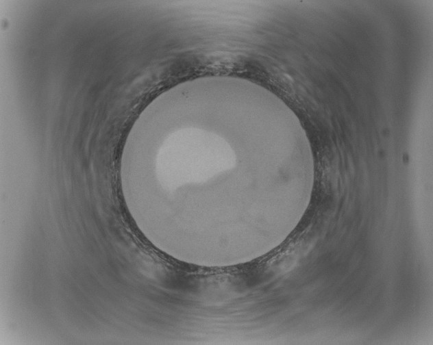 X0000066520769200603201323