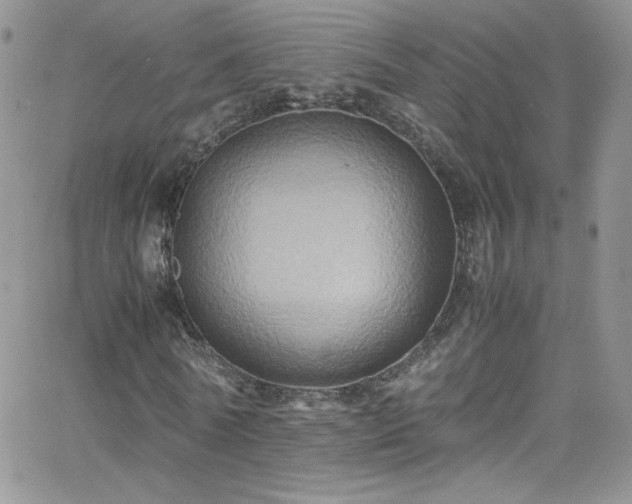 X0000066520770200603201323