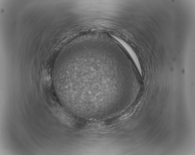 X0000066520771200603201323