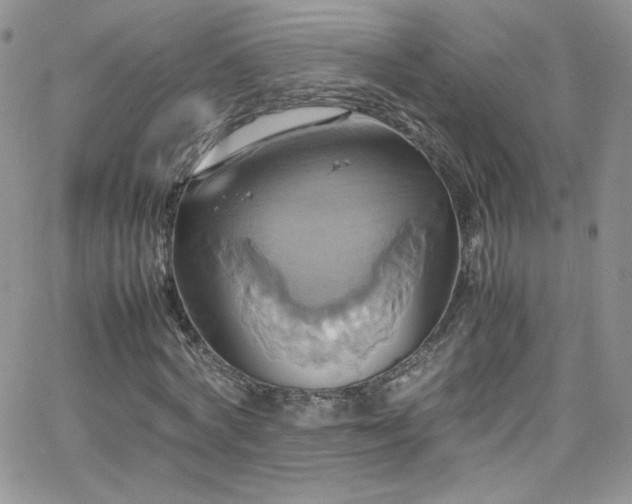 X0000066520772200603201322