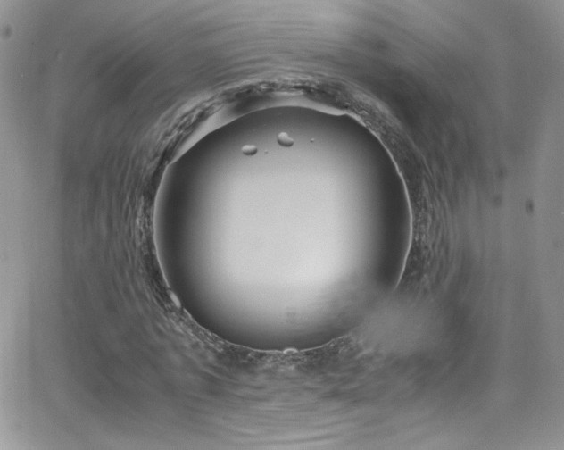 X0000066520773200603201322