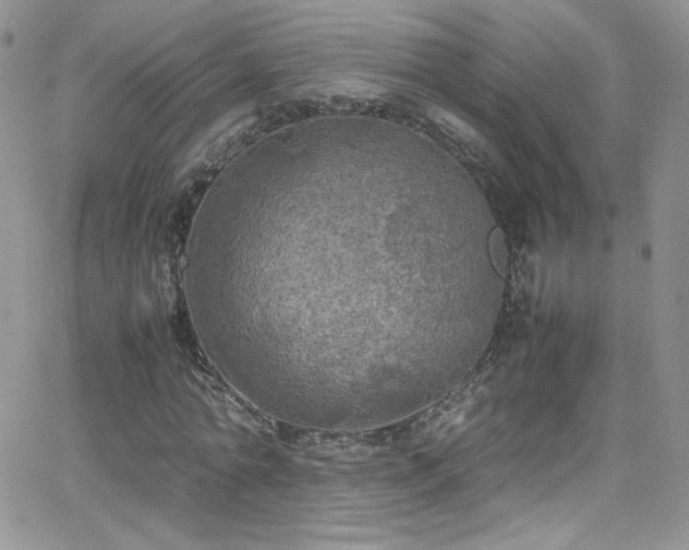 X0000066520774200603201322