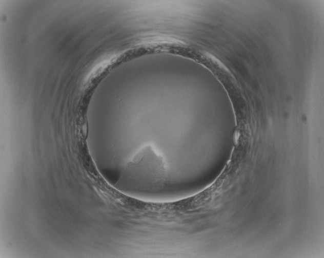 X0000066520775200603201322