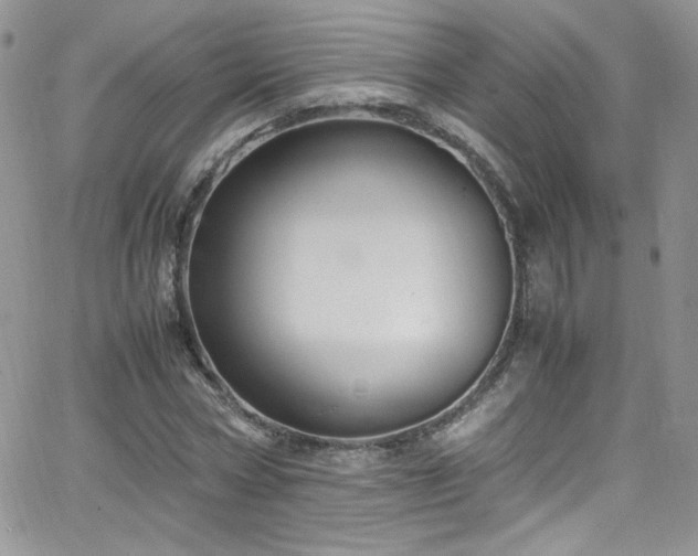 X0000066520778200603201322