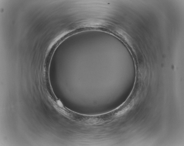 X0000066520779200603201322