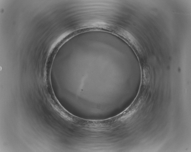 X0000066520780200603201322