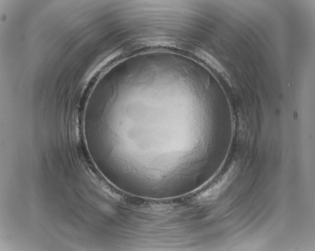 X0000066520782200603201322