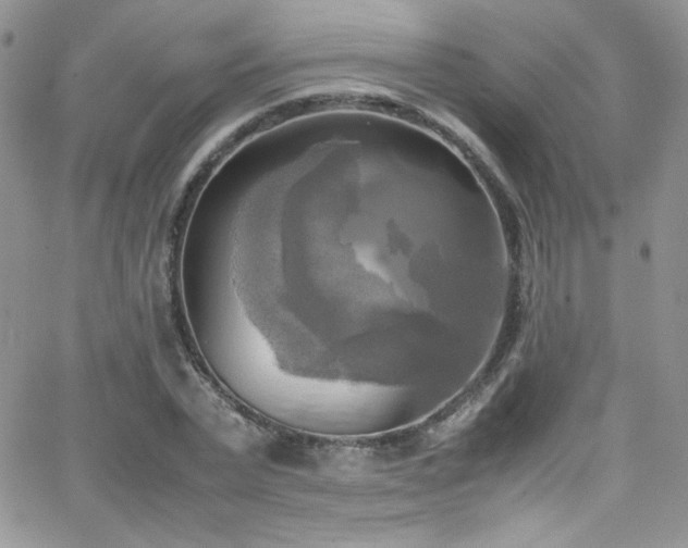 X0000066520783200603201322