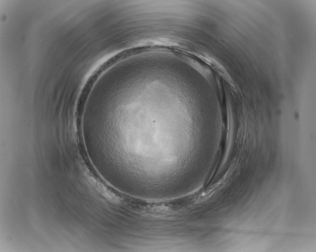 X0000066520784200603201322