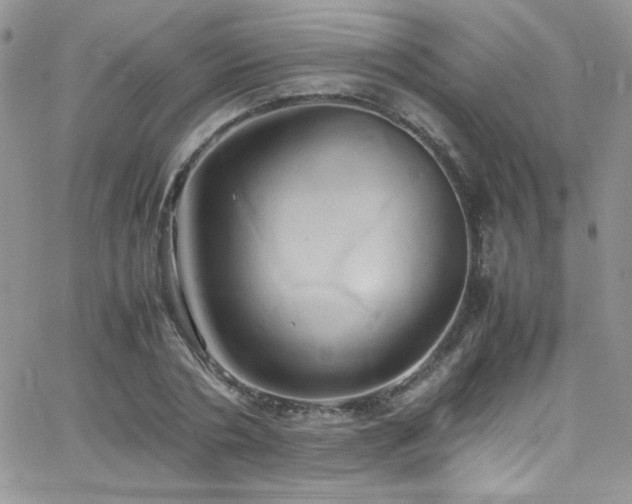 X0000066520786200603201322