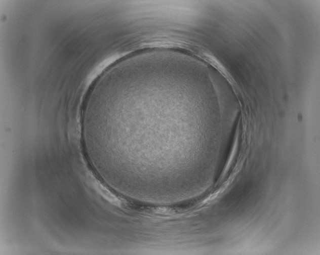 X0000066520787200603201322