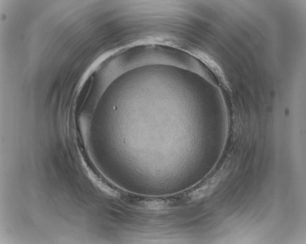 X0000066520792200603201322