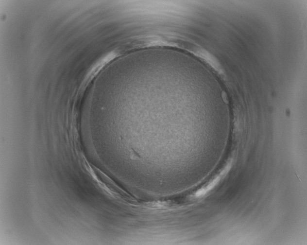 X0000066520793200603201322