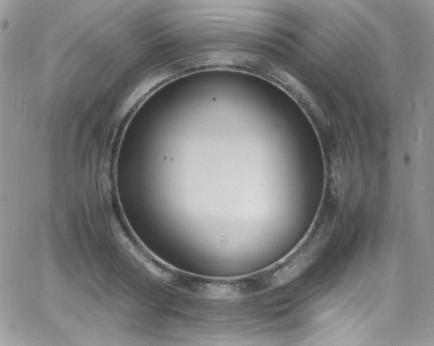 X0000066520794200603201322