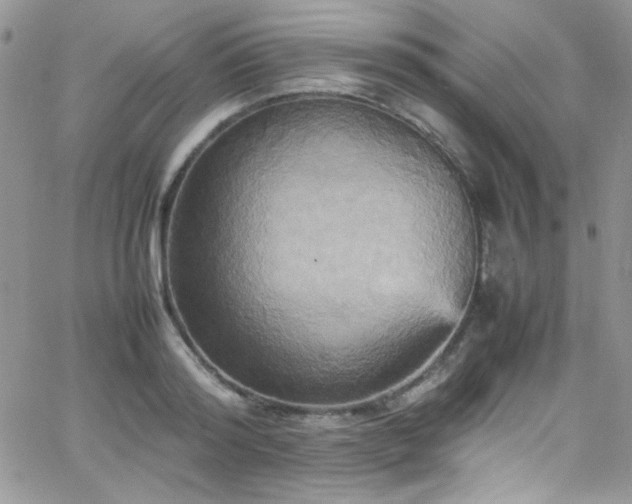 X0000066520796200603201322