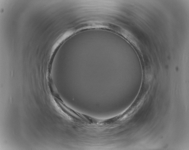 X0000066520797200603201322