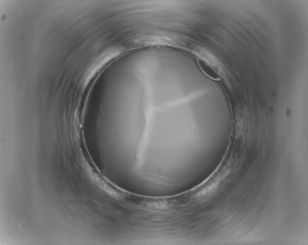 X0000066520798200603201322