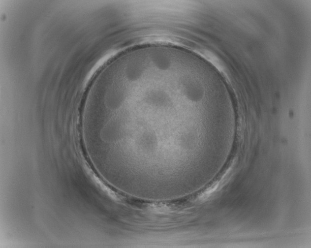 X0000066520799200603201322